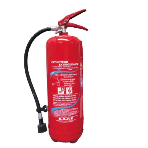 [CPP9] Extincteur Poudre 9 kg PP CPP9
